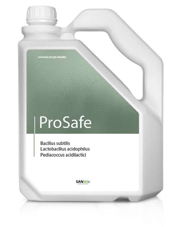 ProSafe